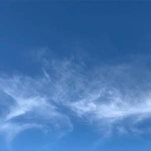 Meet your Posher, Sandy